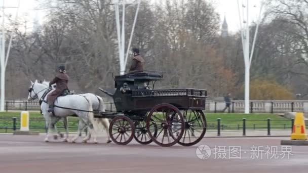 马车在大街上视频