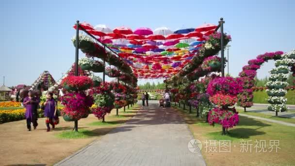 在迪拜奇迹花园的花朵