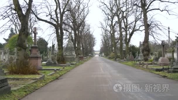 里面的墓地街周围有树视频