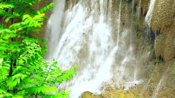 热带雨林中的瀑布视频