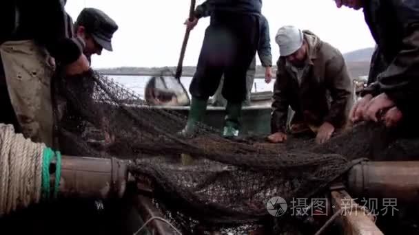 在多瑙河三角洲的传统捕鱼视频