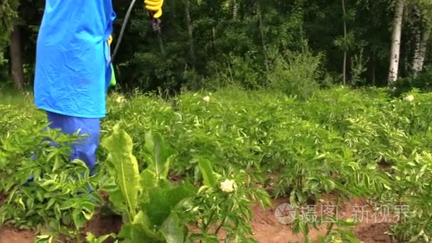 从杂草和昆虫的植物保护视频