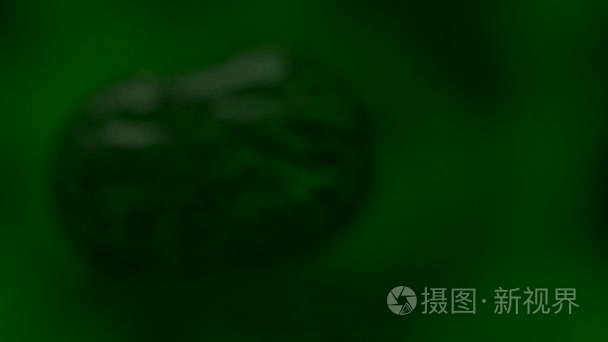 细胞繁殖细菌病毒血镜绿色视频