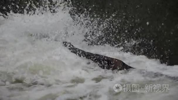 冲水溢洪道的特写视频