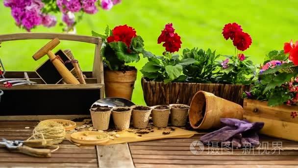 园艺、 工具、 花盆和植物在花园里的桌子上