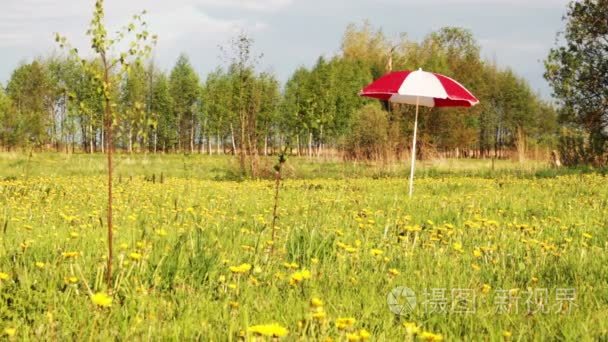 草地上的雨伞视频