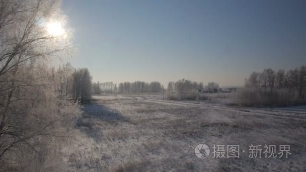 树木在冬季农村公园雪视频