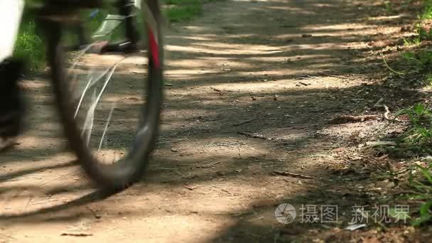 一个骑自行车骑森林视频