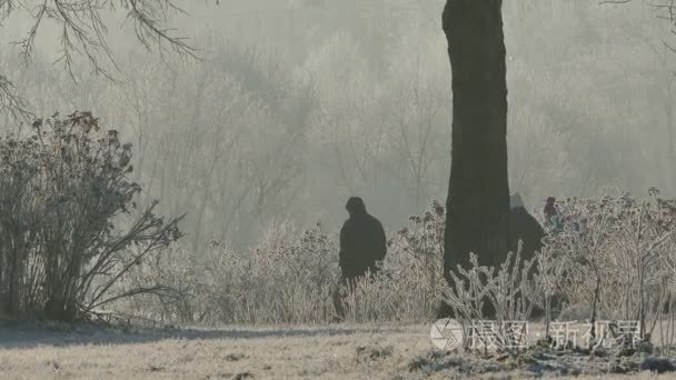 在一天的严寒冬季公园视频