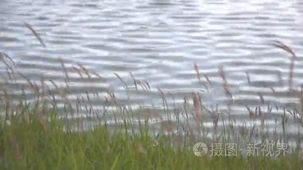 一个美丽的水背景、 水、 湖、 波、 背景图像