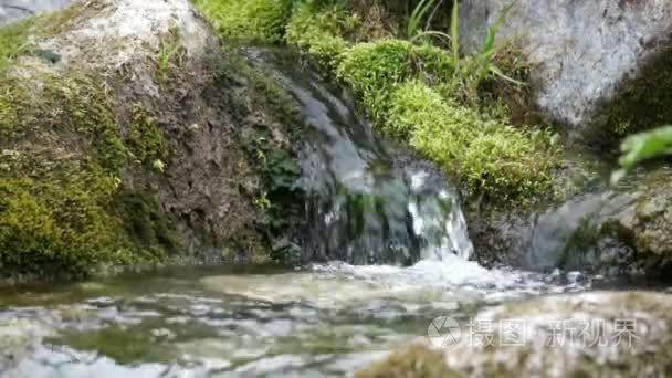 纯淡水流在山林视频