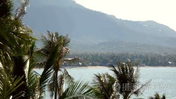 在泰国的热带景象视频