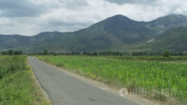 农村公路之间耕种的田地视频