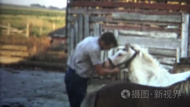 驯马师绿色马视频