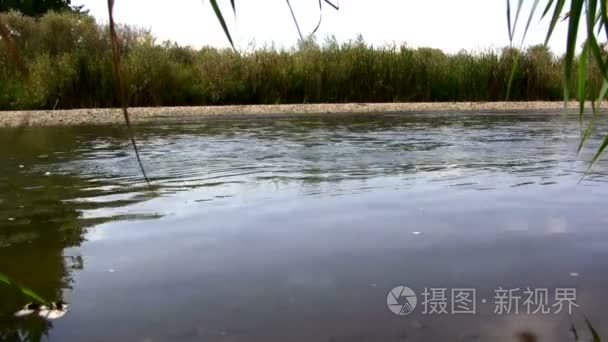 河畔湿地水流视频