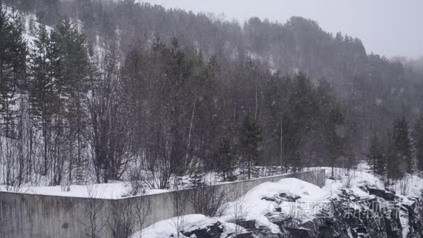 雪落在树和混凝土板的背景