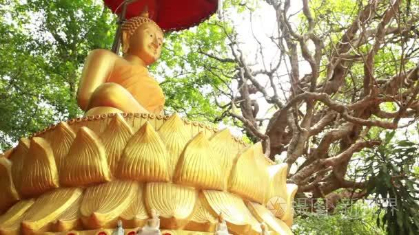 大金雕塑的佛在泰国视频