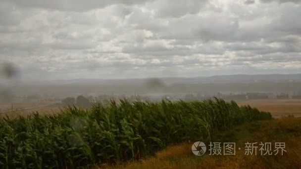 在德国的农村地区麦田视频