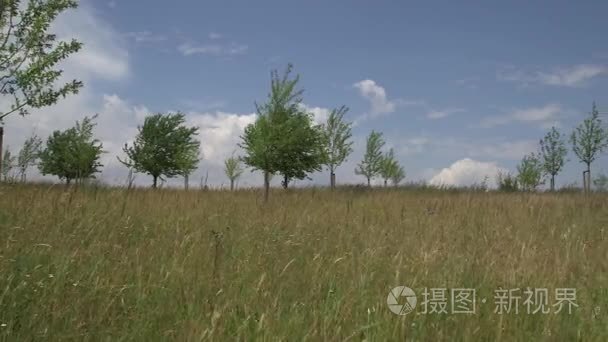 高尔夫球场在雨天视频