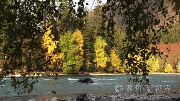 秋季景观与河视频