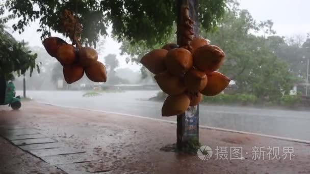 雨滴涟漪一个水坑视频