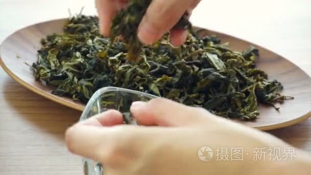 手设置的干绿色茶树叶视频