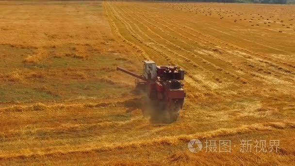 工作领域的小麦联合收割机收获视频