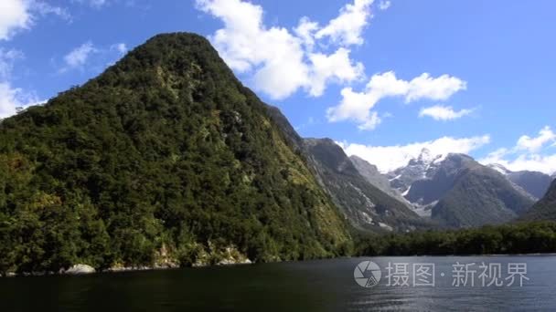 野生园林的米尔福德峡湾视频