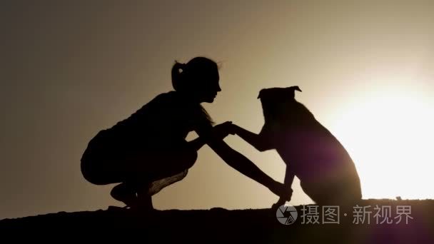 一名年轻女子和她宠物混合狗颤抖的手在日落时的剪影。与天空中的副本空间