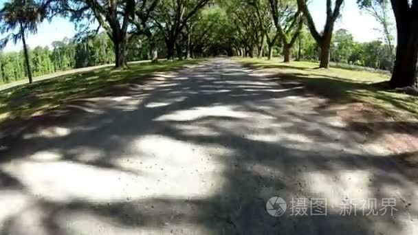 人工林路视频