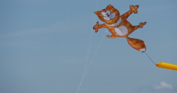 红猫风筝是在空中上莱波兰国际风筝节