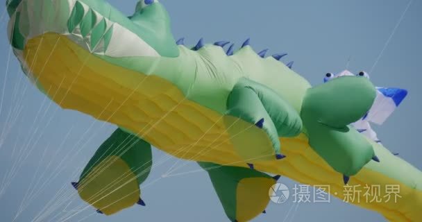 A Bgger crocodile Kite is Flying in The Sky of Leba, Poland Duri