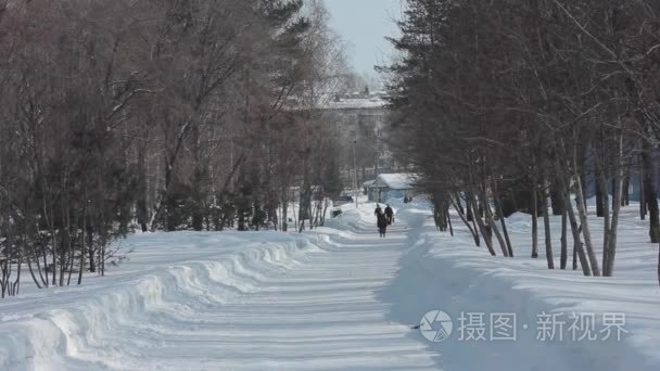 在美丽的冬季公园散步的人视频