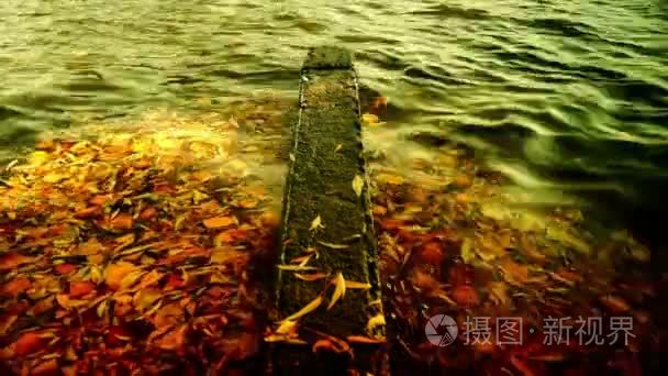 漂浮在海浪上的叶子视频