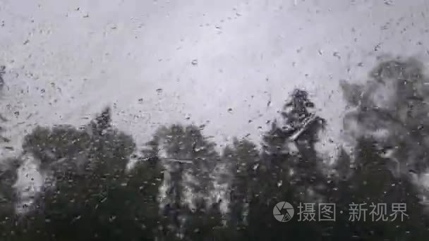 通过在下雨天车窗外的树视频