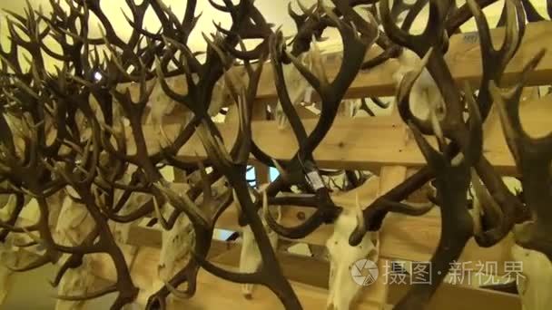 狩猎纪念品、 头骨和角的博物馆