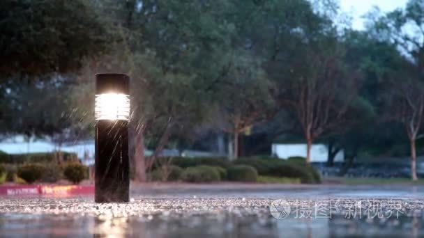 大雨落下点燃的支柱与树视频