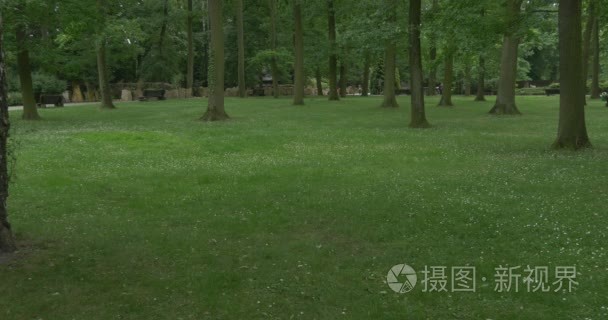 People Walk by The Green Park, High Trees, Green Meadow