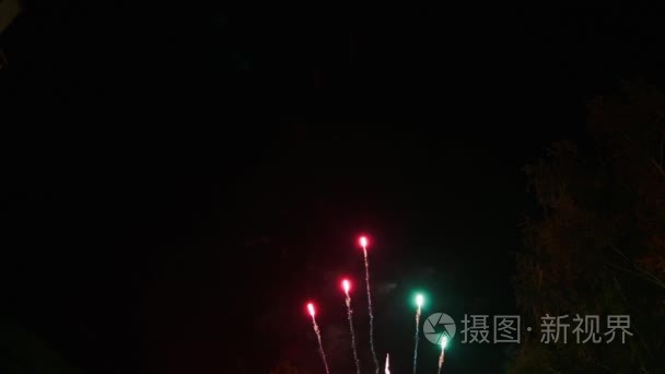 庆典烟花在夜空中视频