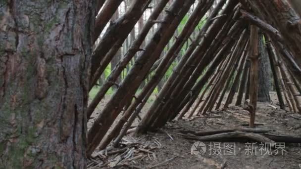 日志在松树林中小屋视频