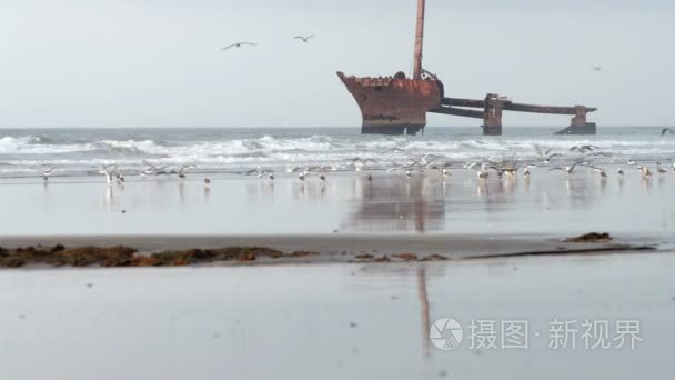 在摩洛哥的海滩上沉船视频