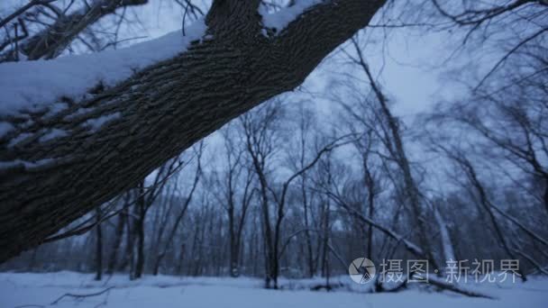 新泽西州冬天的场景视频