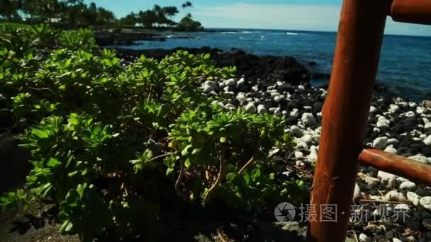 夏威夷海滩附近的木栅栏视频