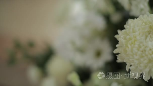在教会里的白花mov格式视频下载 正版视频编号00gwzy 摄图新视界视频库