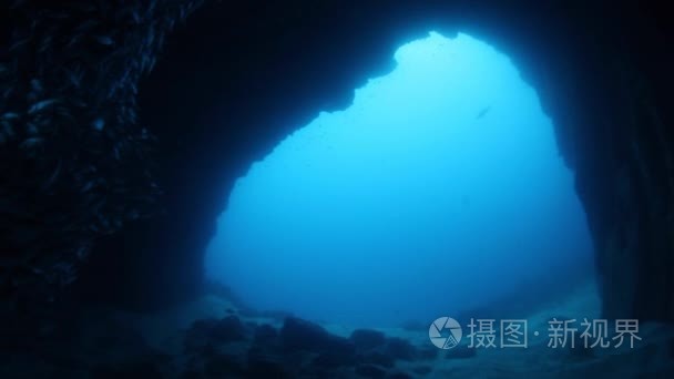 在水下洞穴中鱼群视频