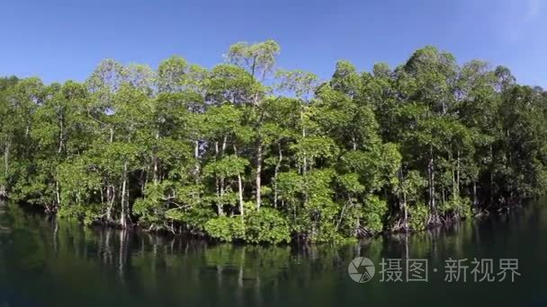 远程岛边的红树林视频