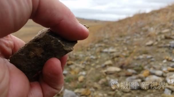古生物学挖化石的发掘和提取视频