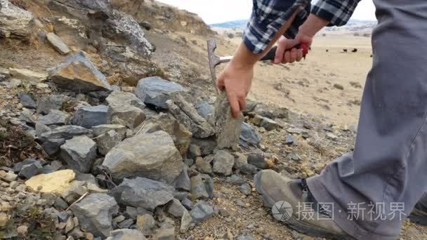 古生物学挖化石的发掘和提取视频