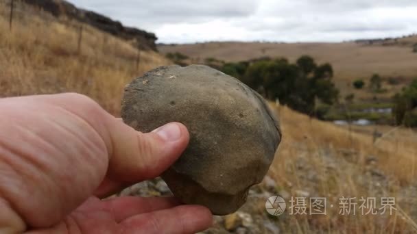 古生物学挖化石的发掘和提取视频