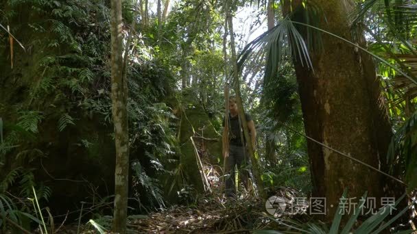 Man Walking In Rainforest